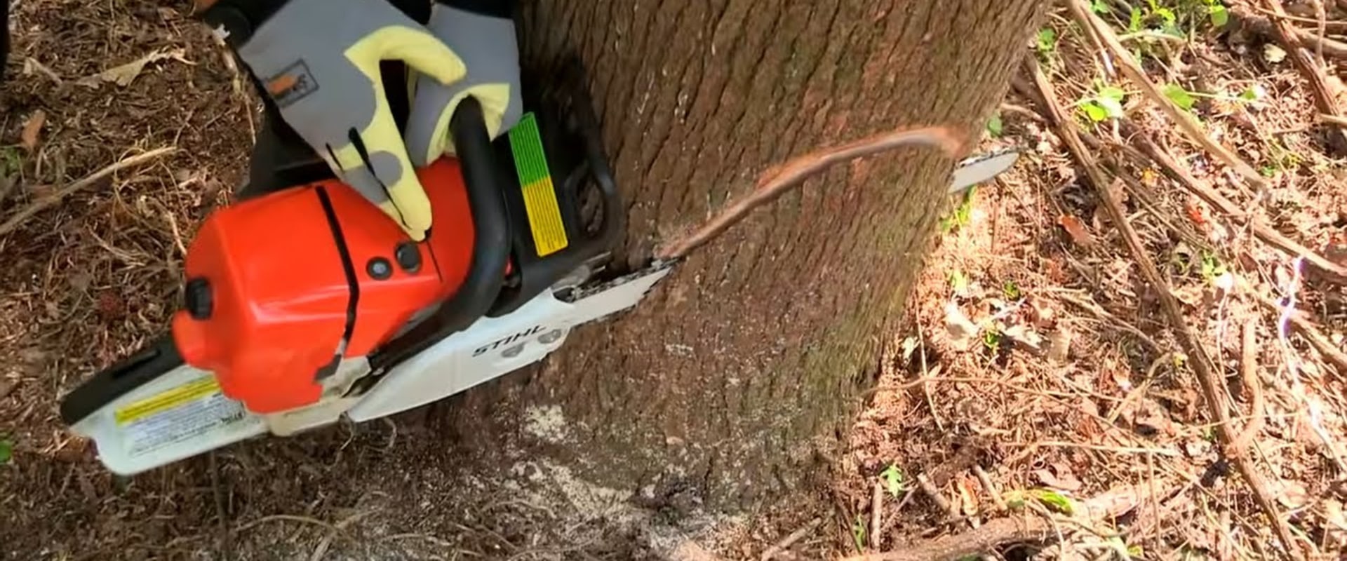 Tree Cutting Techniques
