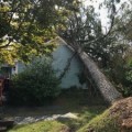 Emergency Tree Cutting Services