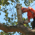 Professional Tree Cutting Services