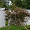 Emergency Tree Removal: What You Need to Know
