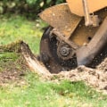 The Benefits of Residential Stump Grinding Services