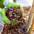 Mulching Frequency for Trees: A Tree Care Tips Guide