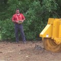 Commercial Stump Grinding Services