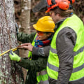 The Essential Guide to Protective Gear for Tree Pruning