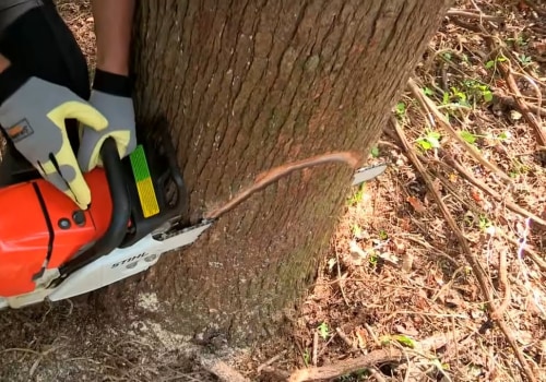 Tree Cutting Techniques and Tools