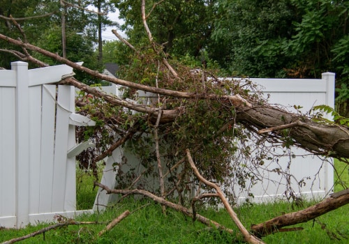 Emergency Tree Removal: What You Need to Know