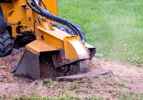 DIY Stump Grinding: A Comprehensive Overview