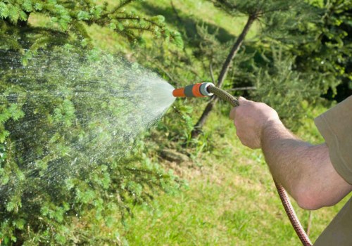 Watering Frequency for Trees: A Comprehensive Guide